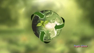 Essential Recycling Benefits for a Sustainable Future 2025