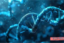 Genetic Engineering benefits risks and future